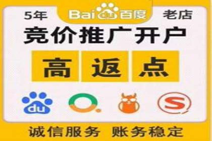 竞价推广公司经典案例：打造行业领先的广告投放效果